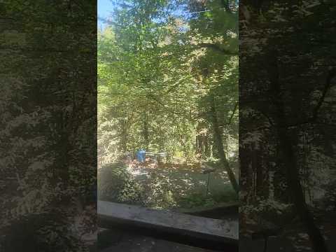 17910 Old Monte Rio Road - Video 2 of 2
