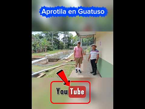 Aprotila en Guatuso Alajuela Costa Rica