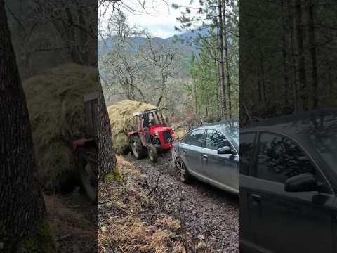 Šta izvlači ovaj IMT traktor 💪 #tractor #imt #automobile #shortvideo