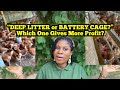 Deep Litter vs Battery Cage — Which System Truly Pays in Poultry Farming? (Honest Farmer’s Review)