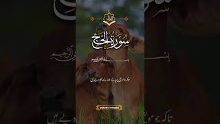 Download lagu surah al hajj 🕋🫀#quran #quranrecitation #hajj #sabar #subscribe #shortvideo mp3 Download lagu surah al hajj 🕋🫀#quran #quranrecitation #hajj #sabar #subscribe #shortvideo mp3