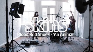 Blood Red Shoes - &#39;An Animal&#39; - Skins Session