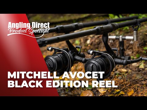 Mitchell Avocet Black Edition Freilaufrolle - Karpfenangeln Product Spotlight