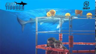 DIA 2 Expo Tiburon42