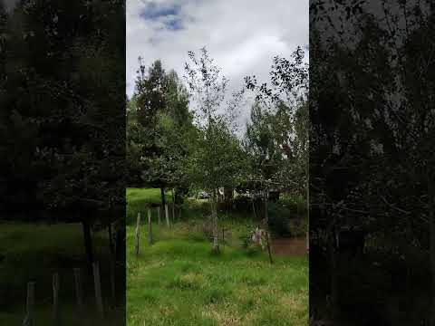 Esta Finca Se Vende O Se Cambia Popular