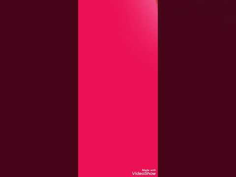 Rajmi és zsüli 2021