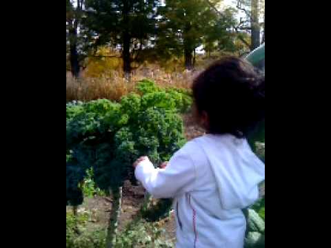 KING CREEK FARM IN WARE, MA