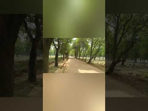 Betapa singkatnya hari - Dr Erastus Sabdono