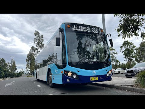 Interline Bus Services: m/o 7067 - Mercedes OC500LE Custom CB80