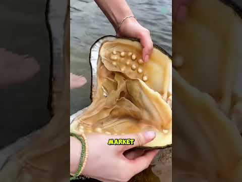 How Do Humans Trick Oysters Into Making Pearls?