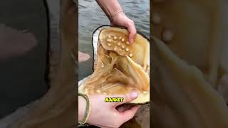 How Do Humans Trick Oysters Into Making Pearls?