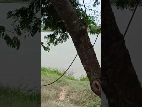 Rio São Francisco em Matias Cardoso norte de Minas Gerais.