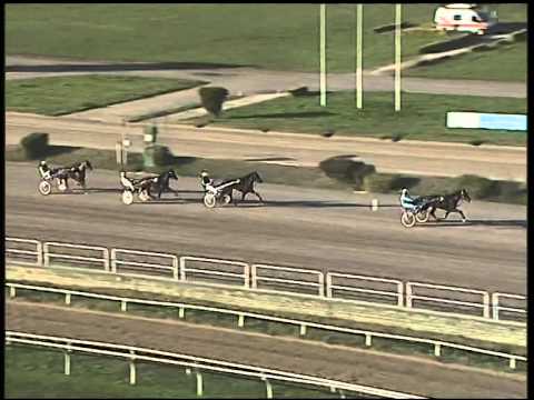 Trotto 13/11/2014 - 2° prova di qualifica