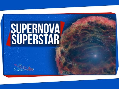 Robert Evans, Supernova Superstar