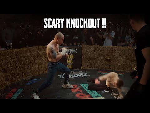 The MOST BRUTAL KO's from Aleksey Melnikov "MELNIK" in Bare-Knuckle Boxing TOP DOG Championship