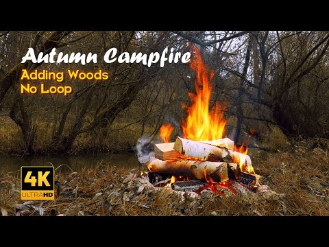 4K 📺 Autumn Campfire by the River 🔥No Loop and Adding Woods 🍁 Relax