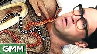 Weirdest Animal Jobs (GAME)