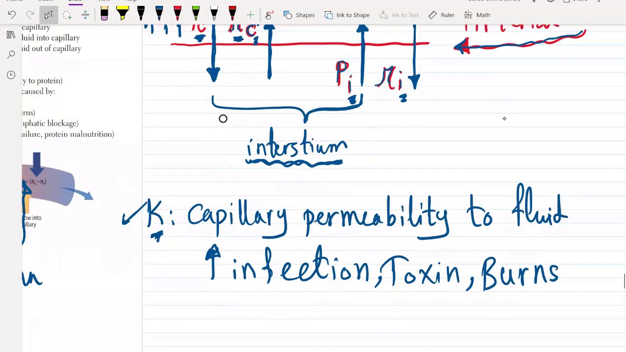 ECG Part 1 for USMLE Step 1 and Step 2 CK - (Free trial course in Description Below)