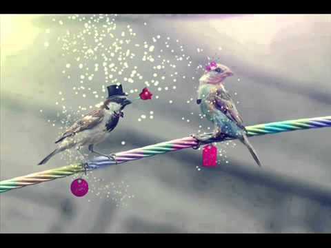 Xhevi - Dy zemra te ndara