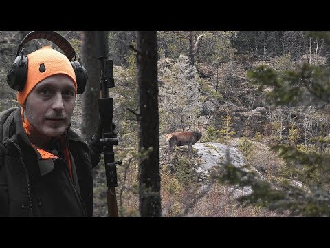 Årets sista drevjakt. Jompen och Pierre jagar på Grinda.