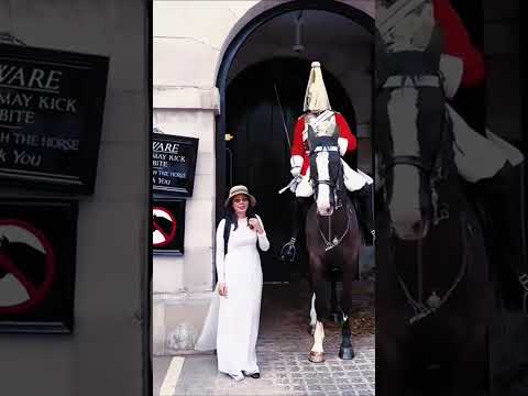 Dont mess with the Royal Guardskingguard foryou guard respect kings... #Shorts #fun