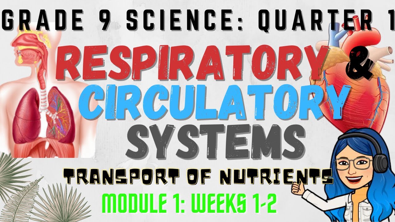 Respiratory and Circulatory Systems | Grade 9 Science Quarter 1 Lesson