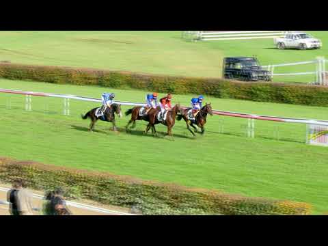 Dielsdorf/25.10.2020/39. St. Leger - St. Leger Club of Lucerne