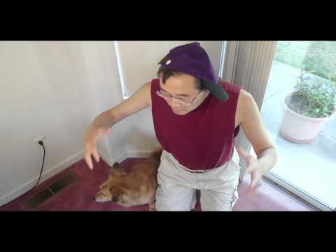 Nerd and His Dog Kick Ass!