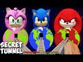 I found SECRET ROAD to SONIC PLANET in MINECRAFT animation! SECRET PANET of AMY and KNUCKLES MOBS