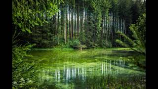 Download lagu Imperial Forces Aaron Kenny 1 Hour mp3 Download lagu Imperial Forces Aaron Kenny 1 Hour mp3