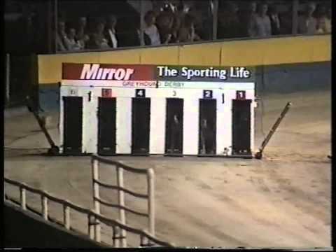 ENGLISH DERBY 97. FINAL...SOME PICTURE