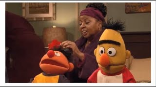 Sesame Street The Flood #4276 (street story)