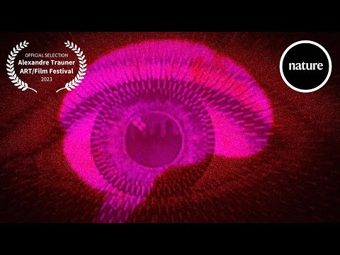 Psychedelics and consciousness: Could drugs help quantify our waking state?