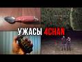 4CHAN HORRORS