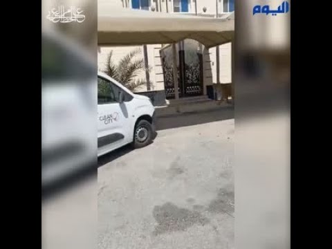 عاجل| شاهد بالفيديو.. السيطرة على أسد طليق بمدينة الخُبر