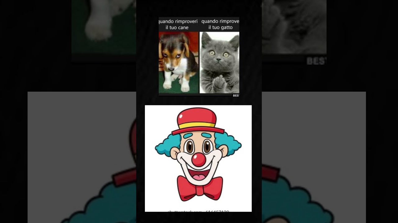 #realsmile ​⁠