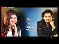 Yeh Dil To Mila Hai Sonu Nigam Alka Yagnik