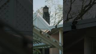 21 Koolyanga Place, Greenfields