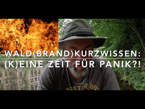 Fear of forest fires - Forest briefing