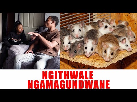 Ep 327 Ngithwale Ngamagundwane That Why I Don't Need Tlof Tlof