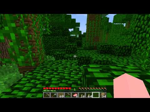 Minecraft Vanilla LP   Ep 3   Lost.....