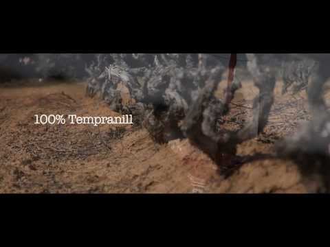 Bodegas Valparaíso , Quintana del Pidio, Burgos