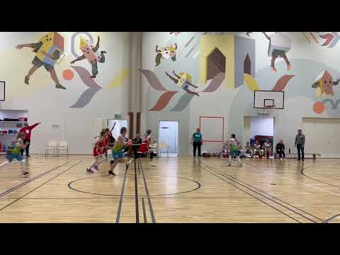 Feeniks Basket Green - Vilpas 9.11.2024