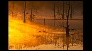 Mighty Sam McClain - When The Hurt Is Over