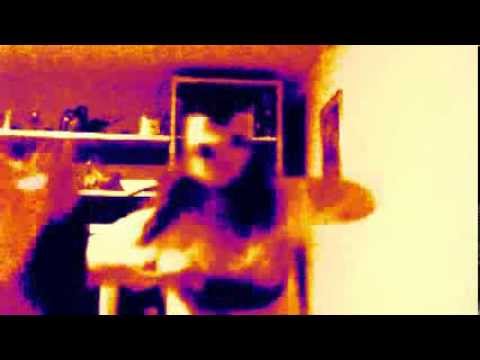 Urodziny Batonna Hity Hiciorki wersja Batonn i Gajda