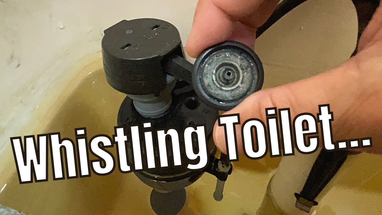 What makes a toilet whistle? Ask Archive