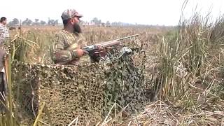 preview picture of video 'Duck hunting in pakistan 2014'