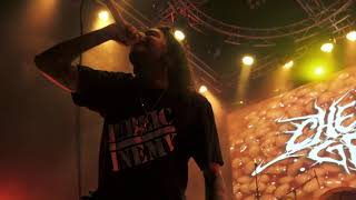 Chelsea Grin - Playing with Fire (Live 4K UHD) @ Gas Monkey Live - Dallas, TX 2/22/2019