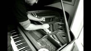 Thollem Mcdonas piano strings improv