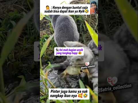 HANYA DENGAN BUNTUT SAJA BISA DAPAT IKAN YA NYIK